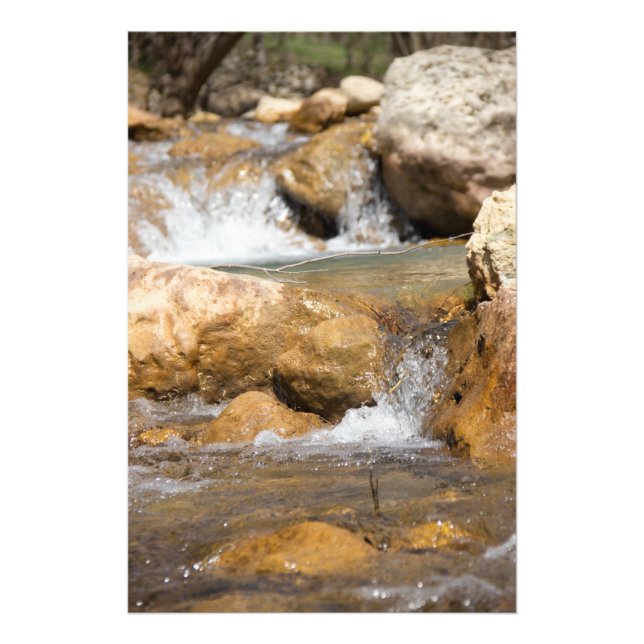 Foto Corriente tormentosa en primavera (Frente)