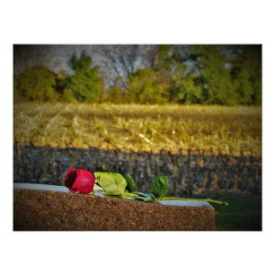 Foto "Cosecha bendiciones"