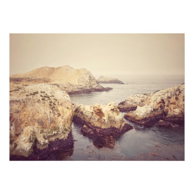 Foto Costa Point Lobos (Frente)