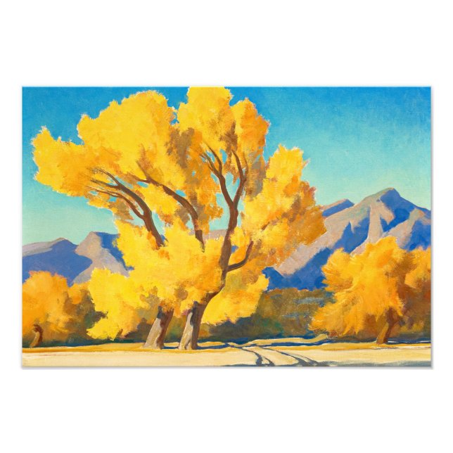 Foto Cottonwoods del desierto, Arizona, por Maynard Dix (Frente)