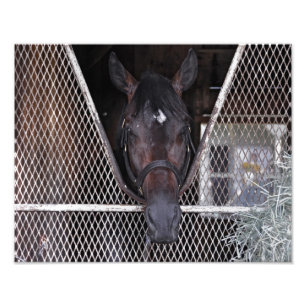 Foto Cozmic uno en Saratoga histórico