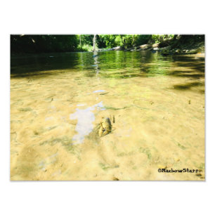 Foto Crawfish del condado de Livingston