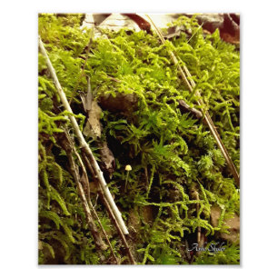 Foto Creciente esperanza