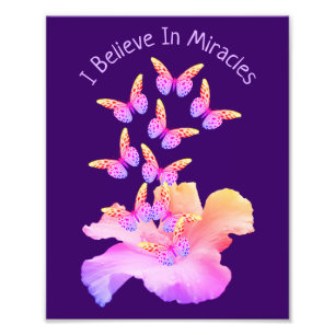Foto Creer En Los Milagros Hibiscus Flores Mariposas