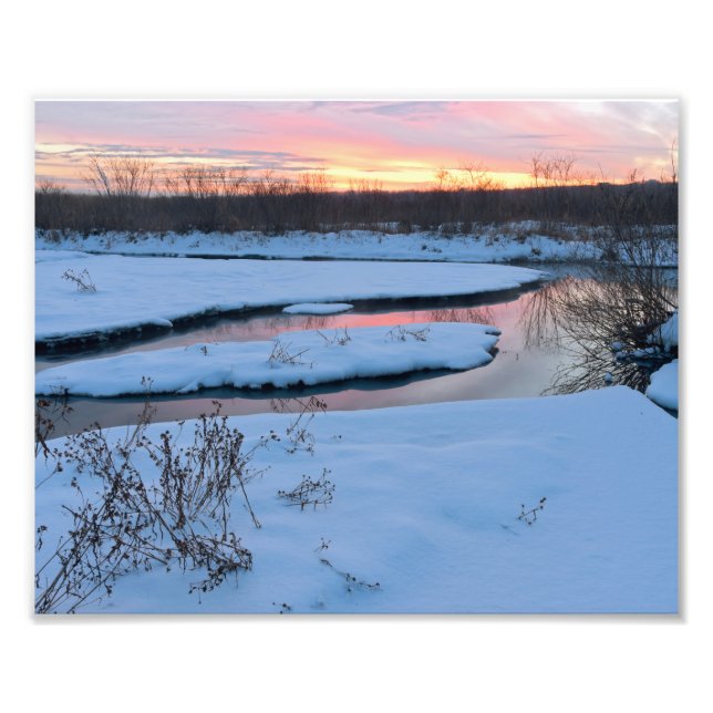 Foto Crepúsculo de invierno en refugio de vida silvestr (Frente)