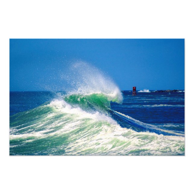 Foto Crestado (Frente)