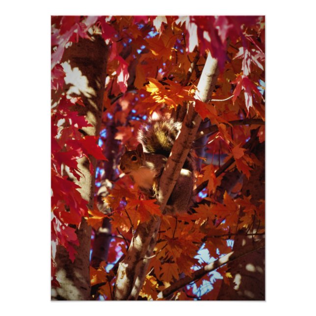 Foto "Critter con chispas de color" (Frente)