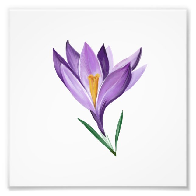 Foto Crocus Spring Flower (Frente)