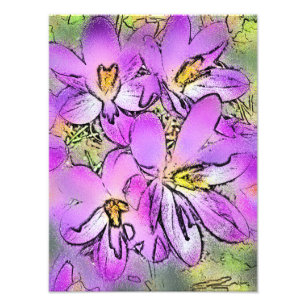FOTO CROCUSES