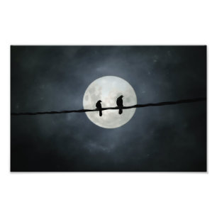 Foto Crows Iluminados Por La Luna De Resbaladizo