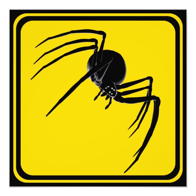 Foto ¡Cruce araña grande! (Frente)