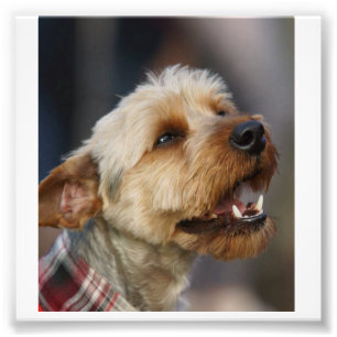 Foto Cruce del territorio fronterizo