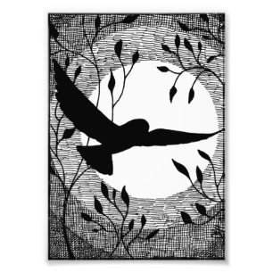 Foto Cruz del búho y de la luna tramada