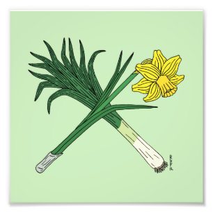 Foto Cruzado de puerros y daffodil
