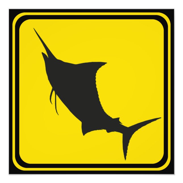 Foto ¡Cruzando el Marlin Azul! (Frente)