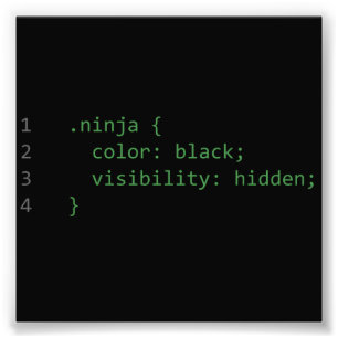 Foto CSS que cifra Ninja