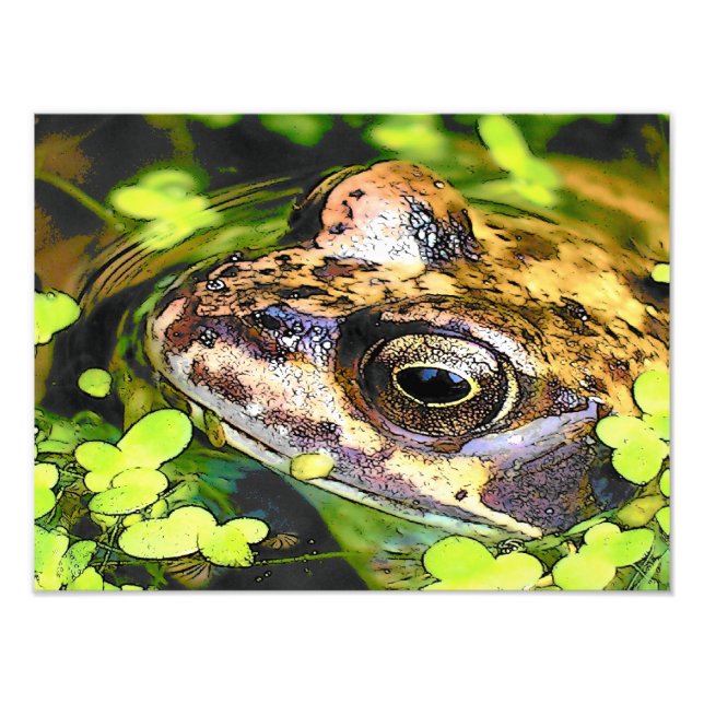 FOTO CUADRADO FROG (Frente)