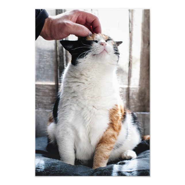 Foto Cuadros (Frente)