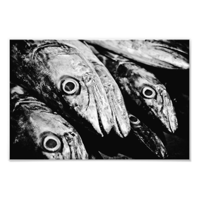 Foto cuatro ojos (Frente)