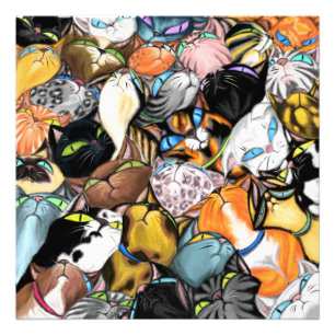 Foto Cudddling Cats Poster