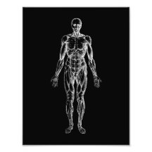 Cuerpo humano, anatomía masculina, negro y blanco