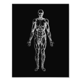 Foto Cuerpo humano, anatomía masculina, negro y blanco