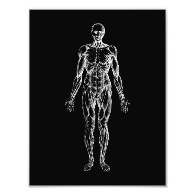 Foto Cuerpo humano, anatomía masculina, negro y blanco (Frente)