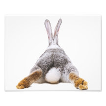 Cuidadito Bunny Cotton Tail Animal Wall Art