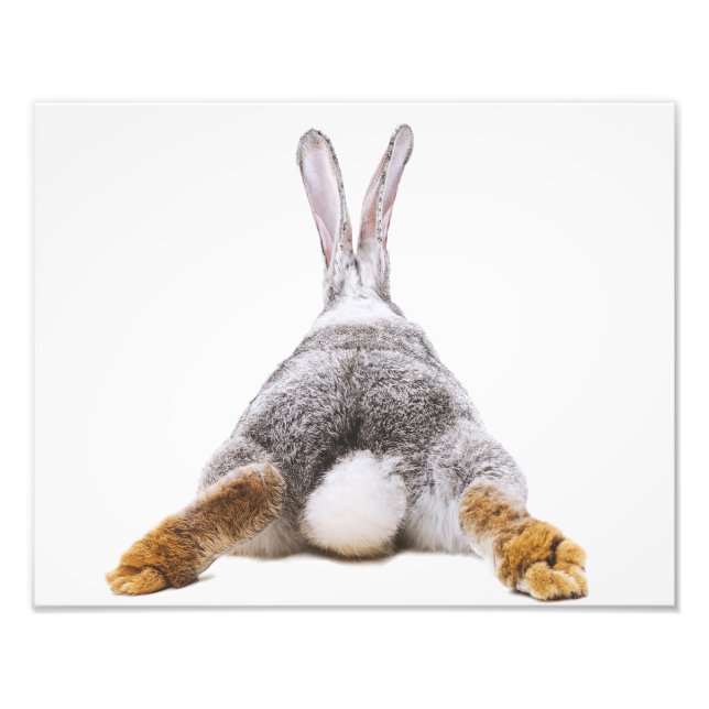 Foto Cuidadito Bunny Cotton Tail Animal Wall Art (Frente)