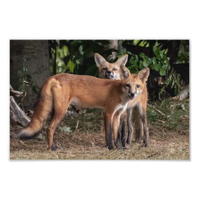 Foto Cuidado Con La Imagen De Mi Hermano (Frente)