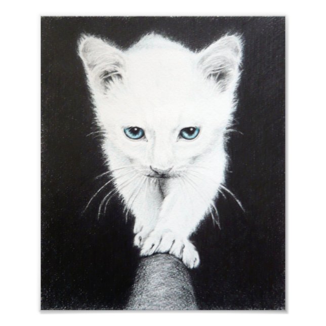 Foto Cuidado gatito blanco Arte de dibujo animal Amante (Frente)