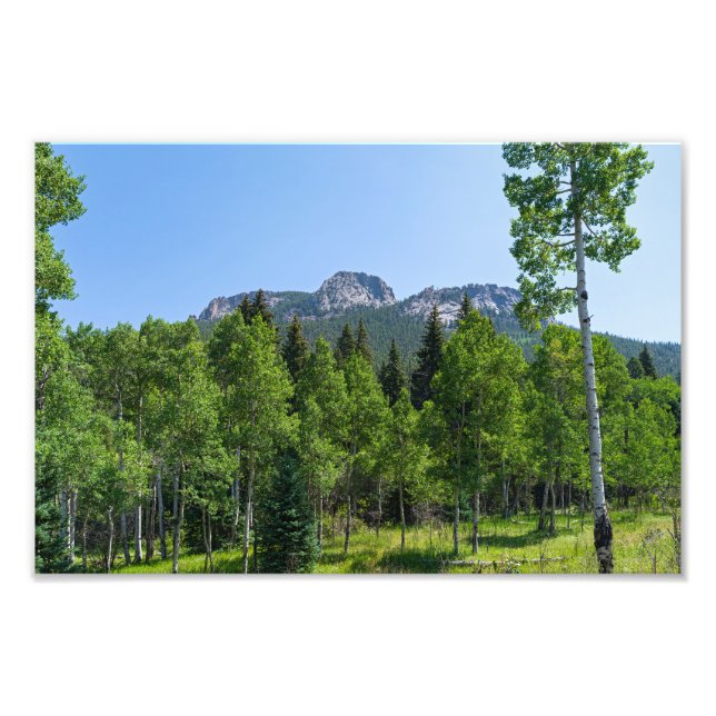 Foto cumbre de espinas sobre bosques en la puerta de or (Frente)