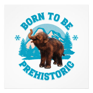 Foto Cumpleaños de niños prehistóricos mamut bebé lindo