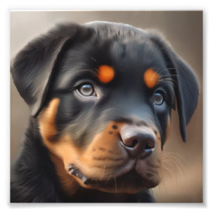 Foto Cúper de Closeup Rottweiler