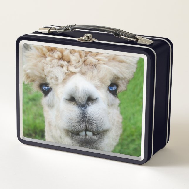 Foto Curiosa de Alpaca  (Anverso)