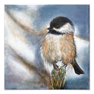 Foto Cute Adorable Chickadee Winter Painting