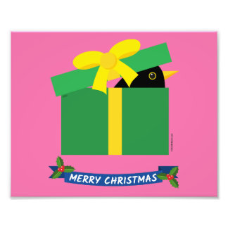 Foto Cute Blackbird Buscando En Una Caja De Regalo