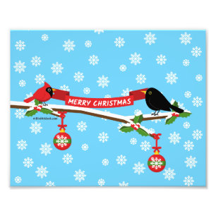 Foto Cute Blackbird Y Cardenal En Sucursal - MERRY XMAS