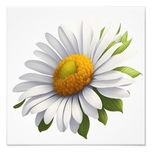 Foto Cute Daisy. Poder de las flores
