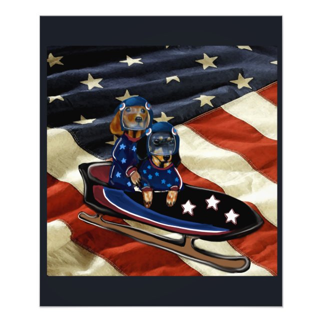 FOTO DACHSHUND  (Frente)