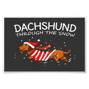 Foto Dachshund A Través De La Nieve Perro Divertido Cam