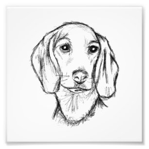 Foto dachshund hand drawn sketch black white puppy dog
