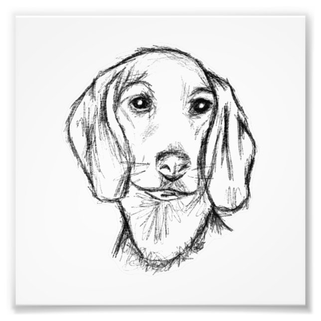 Foto dachshund hand drawn sketch black white puppy dog  (Frente)