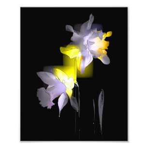 Foto Daffodils cubistas
