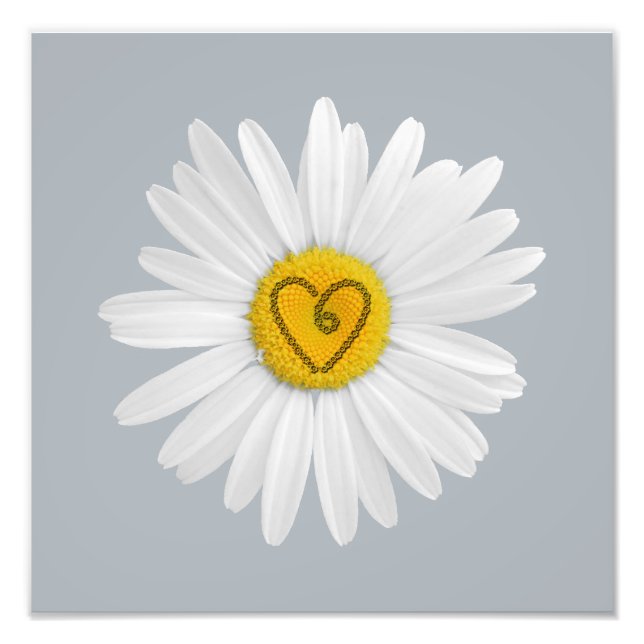 Foto Daisy Flower Love Art Personalizar Antecedentes (Frente)