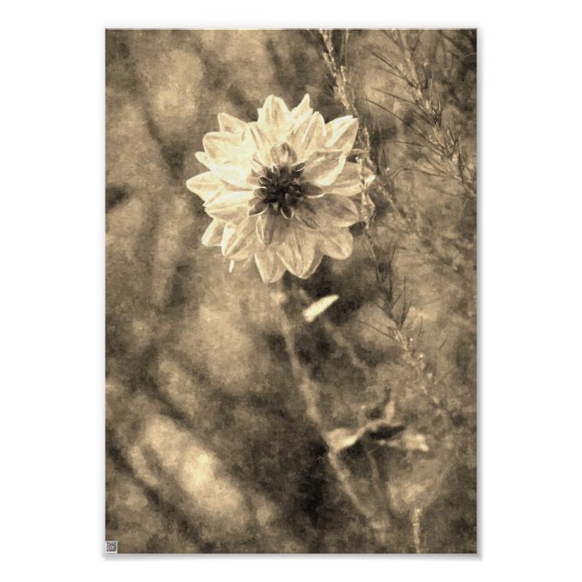 Foto Dalia Vintage (Frente)