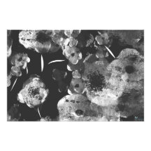 DALIAS NEGRAS