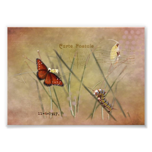 Foto Dama pintada de medios mixtos (Frente)