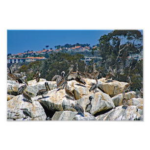 Foto Dana Point