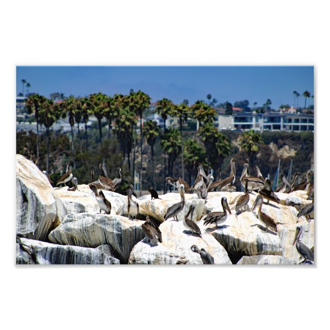 Foto Dana Point (Frente)